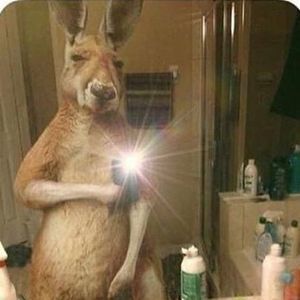 Meet your Posher, Jayjan